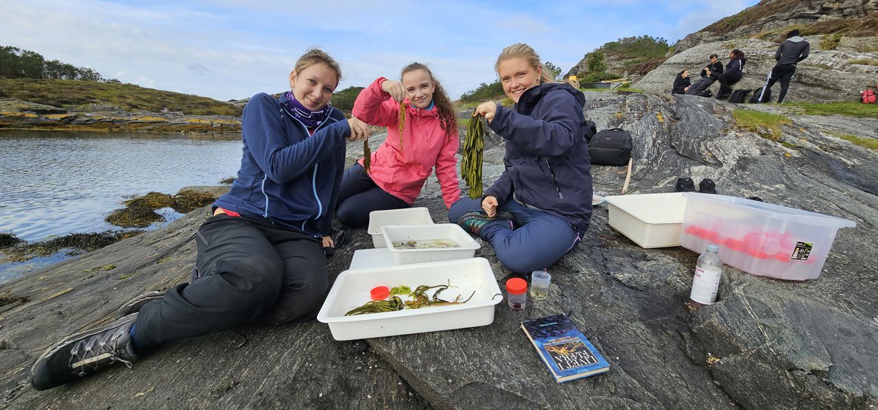 Foto av elever med arter i plastikkbakker