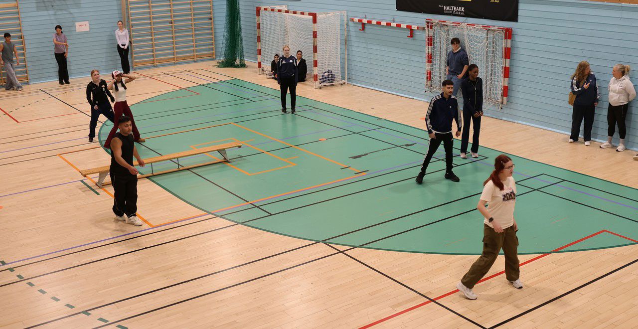 Foto av elever som spiller kanonball