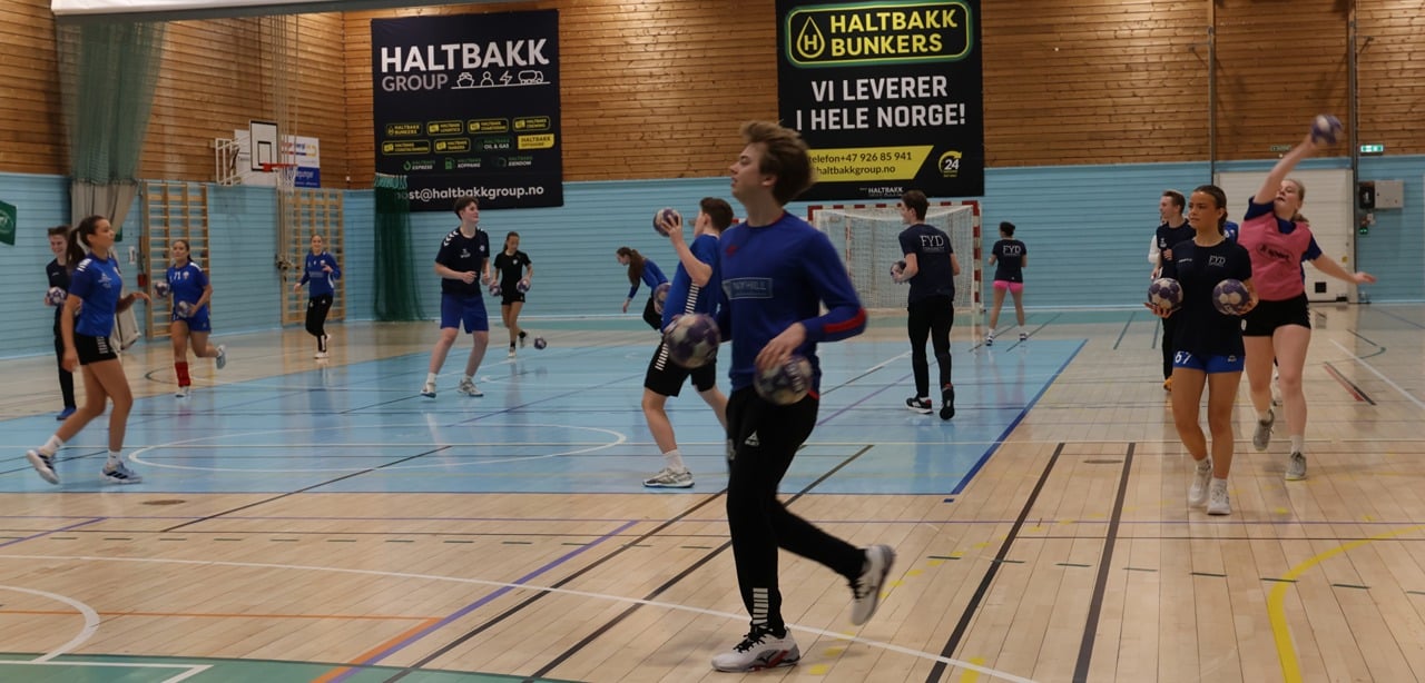 Foto av hospitanter som spiller håndball