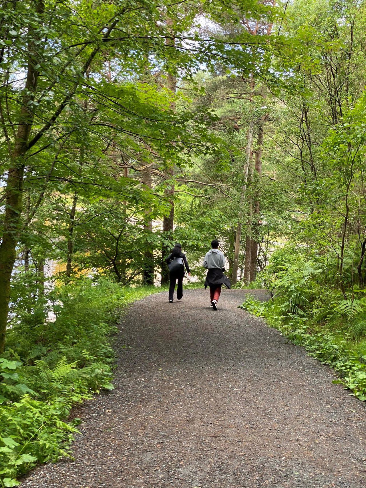 Foto av elever på vei inn i skogen